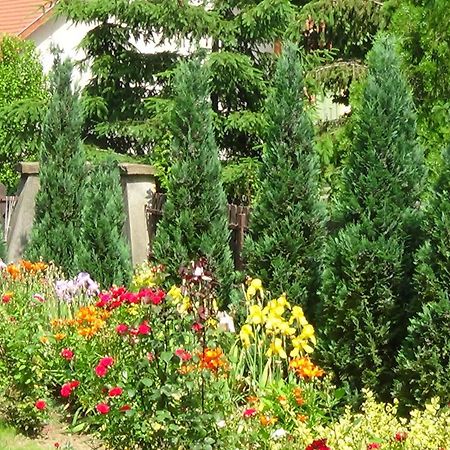 Rózsakert Vendégház Romhány Exterior foto