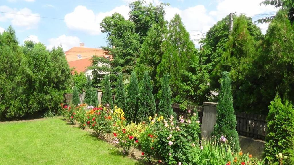 Rózsakert Vendégház Romhány Exterior foto