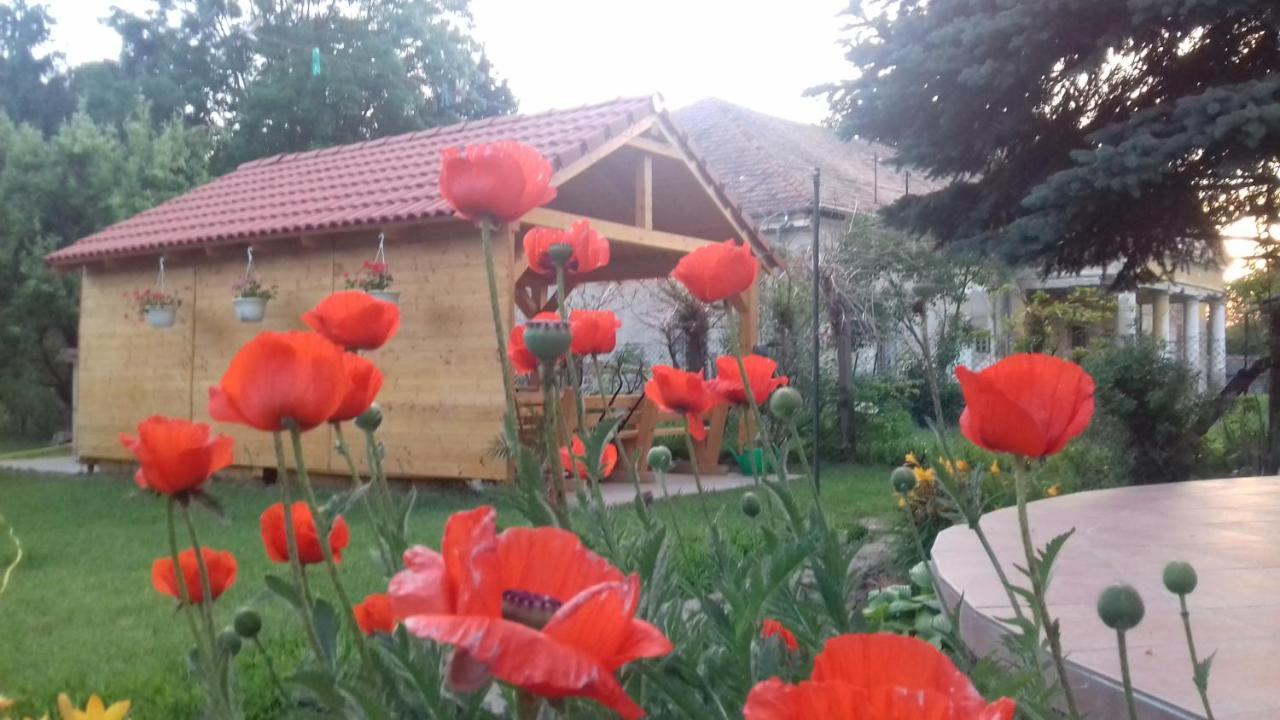 Rózsakert Vendégház Romhány Exterior foto