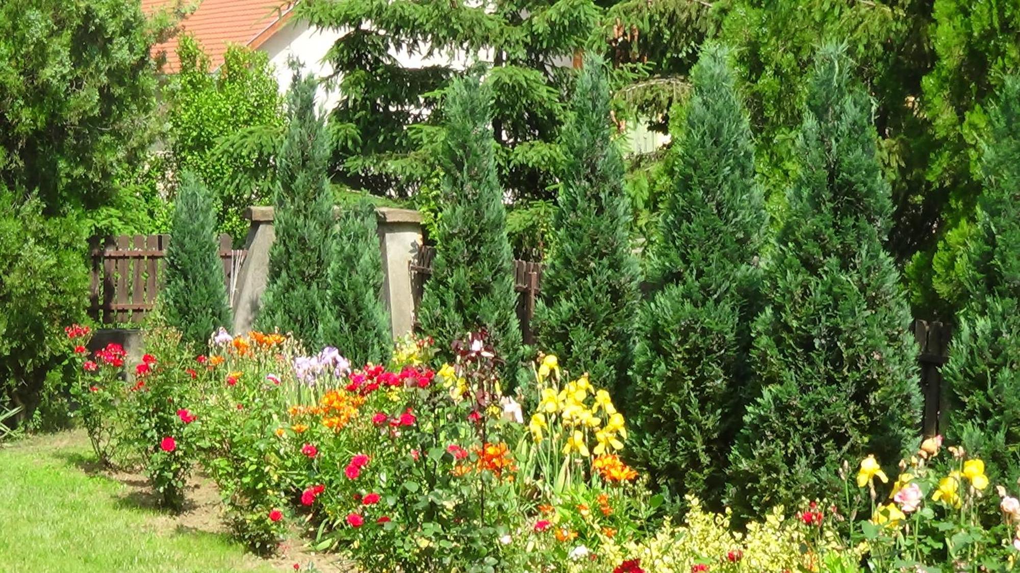 Rózsakert Vendégház Romhány Exterior foto