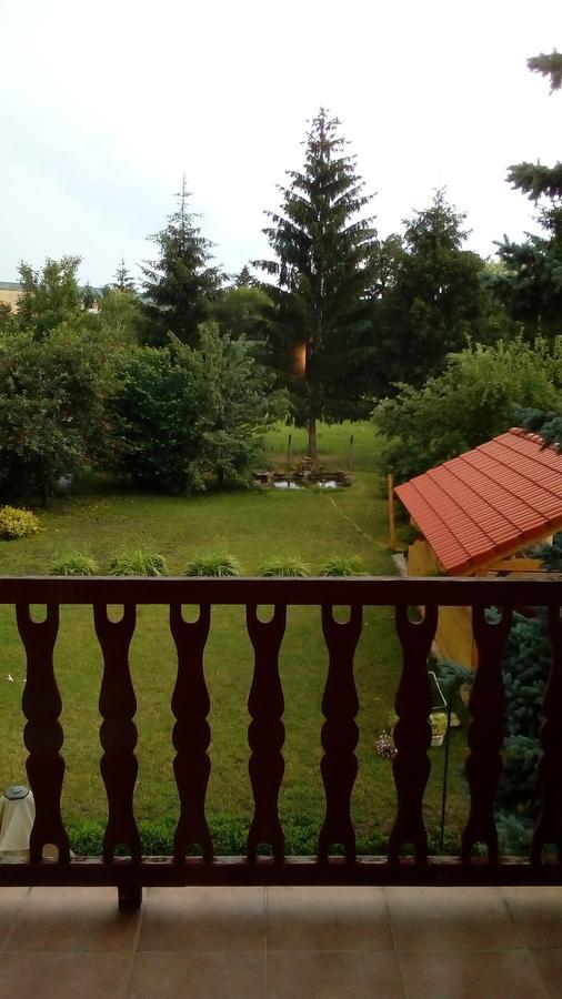 Rózsakert Vendégház Romhány Exterior foto